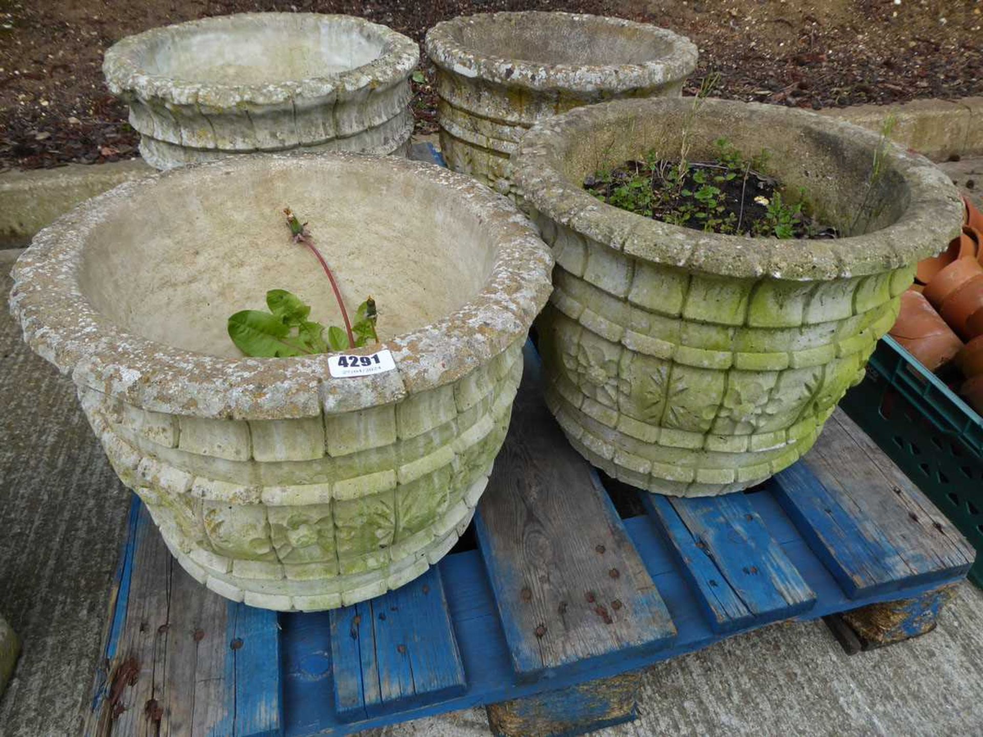 5 round concrete planters - Image 2 of 2