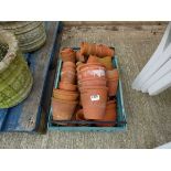 Tray of terracotta pots