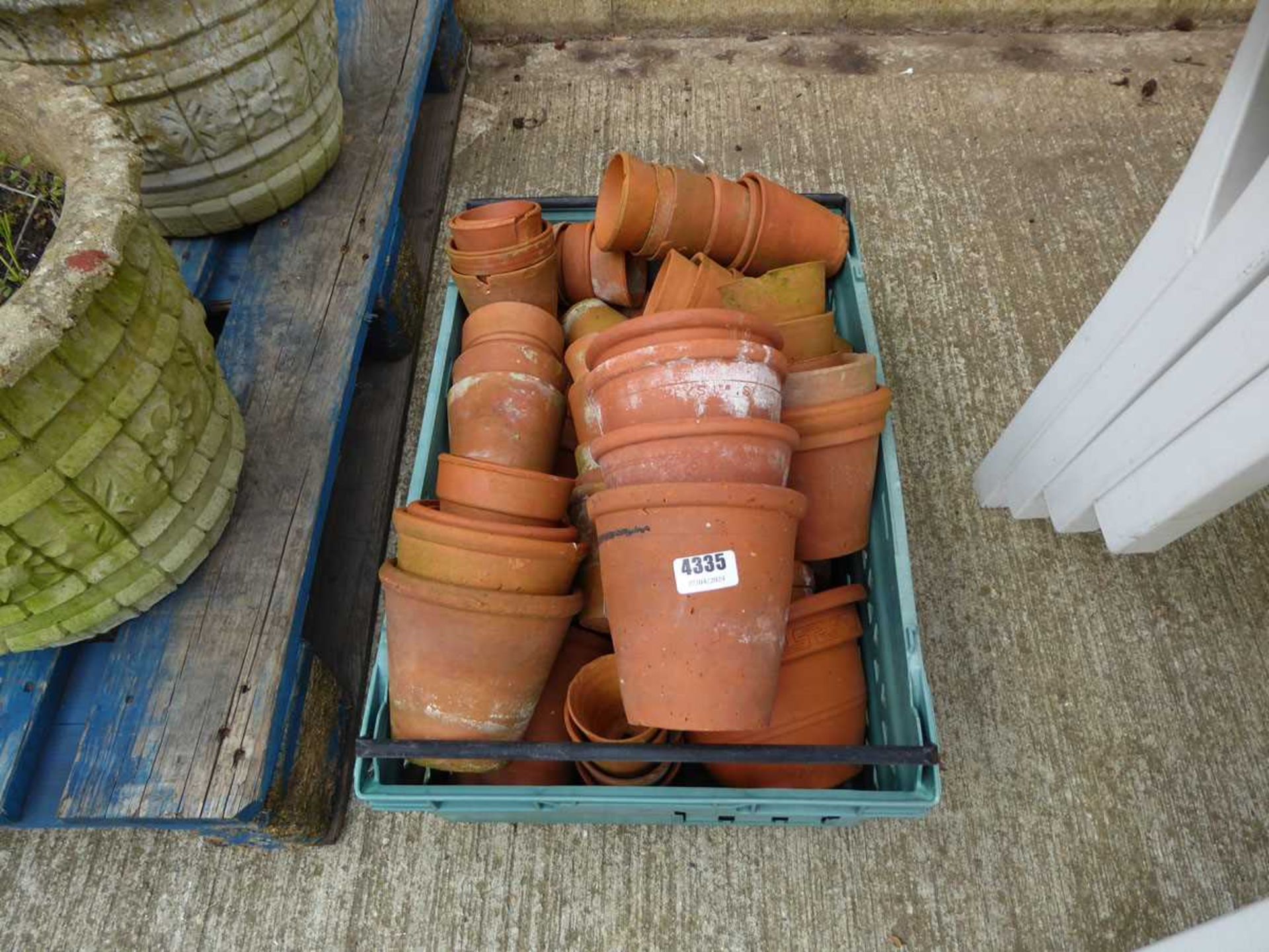 Tray of terracotta pots