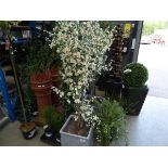 +VAT 2 potted artificial flowering plants