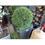 +VAT Potted artificial buxus ball
