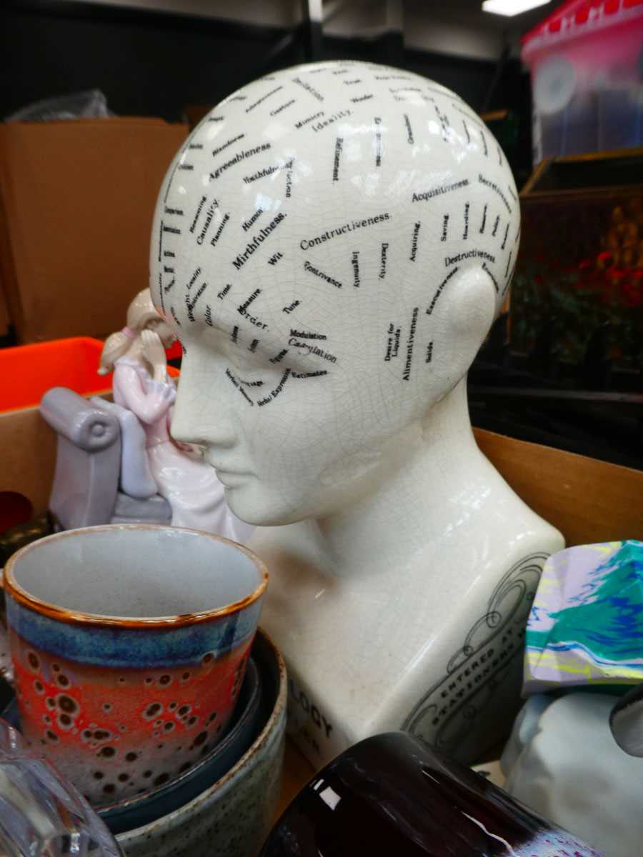 +VAT 3 boxes containing coffee mugs, phrenology head, ginger beer bottle, jasperware, ornaments - Image 3 of 5