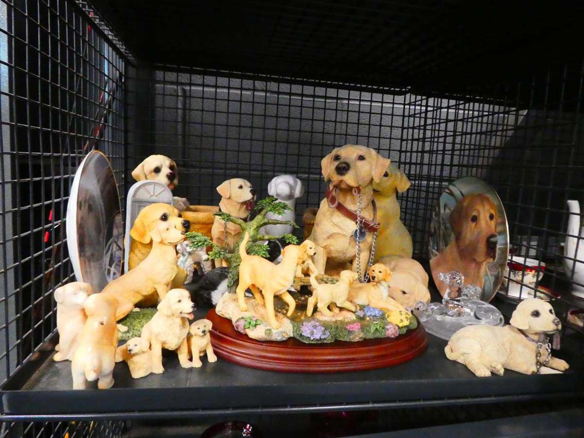 Cage of resin Leonardo Labrador figures