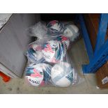 2 bags of Mitre footballs