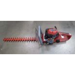 Red petrol powered hedge cutter