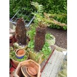 2 large ferns in square terracotta pots