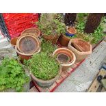 Pallet of terracotta garden pots