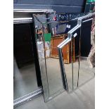 Etched glass rectangular mirror