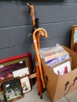 Bundle of walking sticks