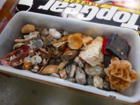 Box containing stones and mineral examples