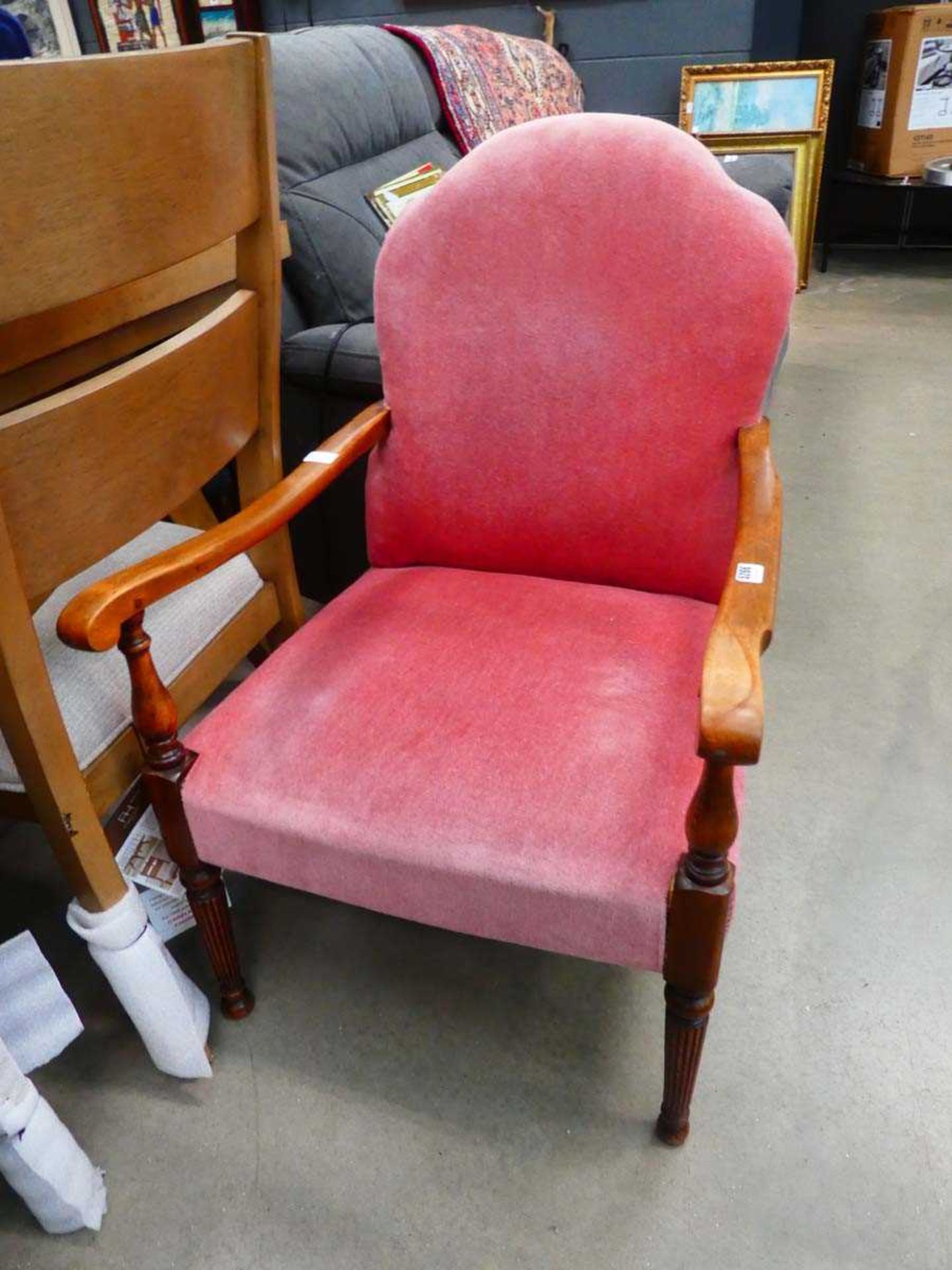 Beech 1950s armchair in pink upholstery