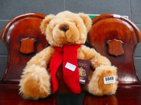 Teddy bear with scarf
