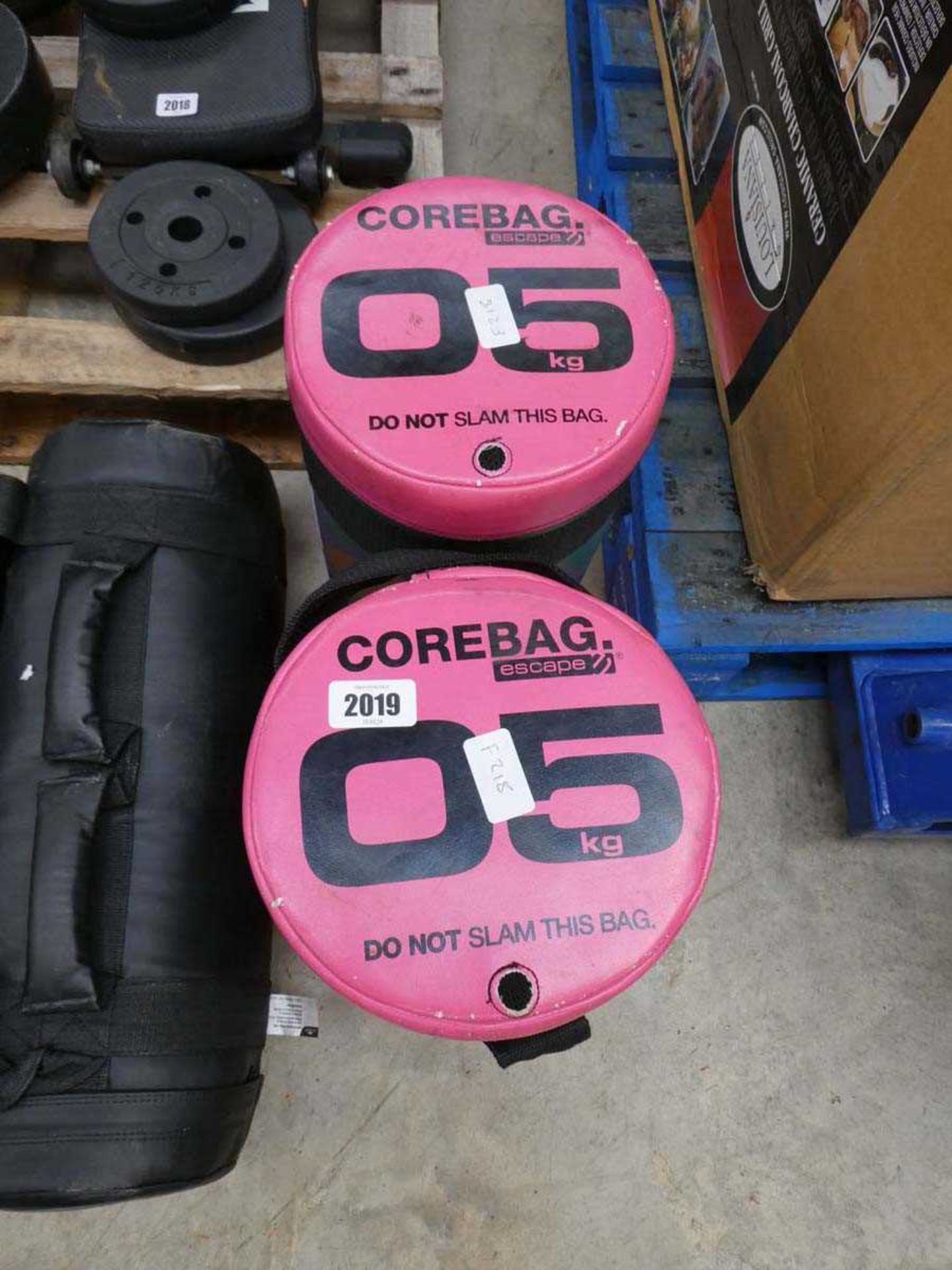 2 x 5kg The Core weighted bags - Bild 2 aus 2