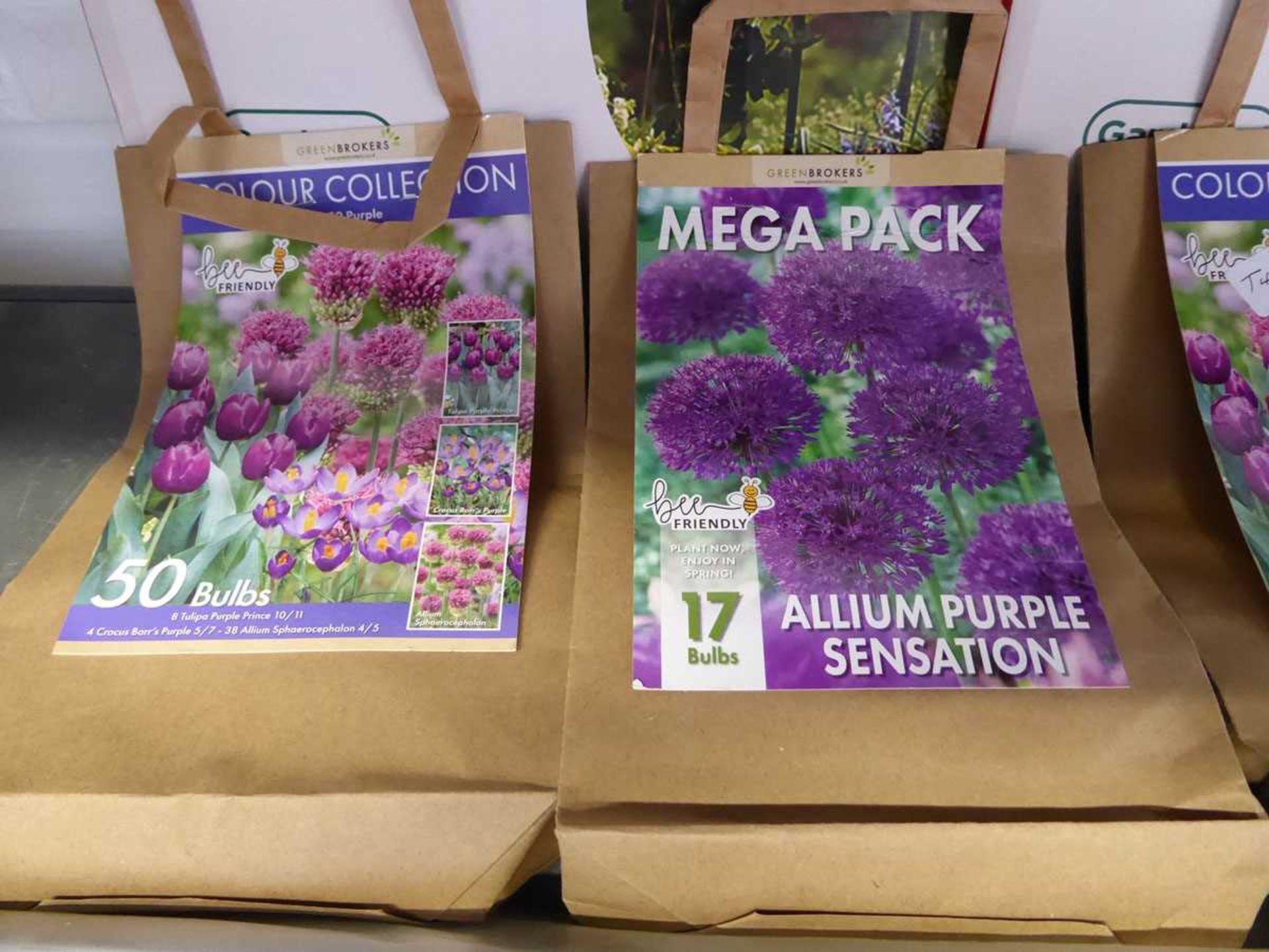 10 bags of green mixed plant bulbs to include purple tulips, allium, crocus barr purple, - Image 3 of 4