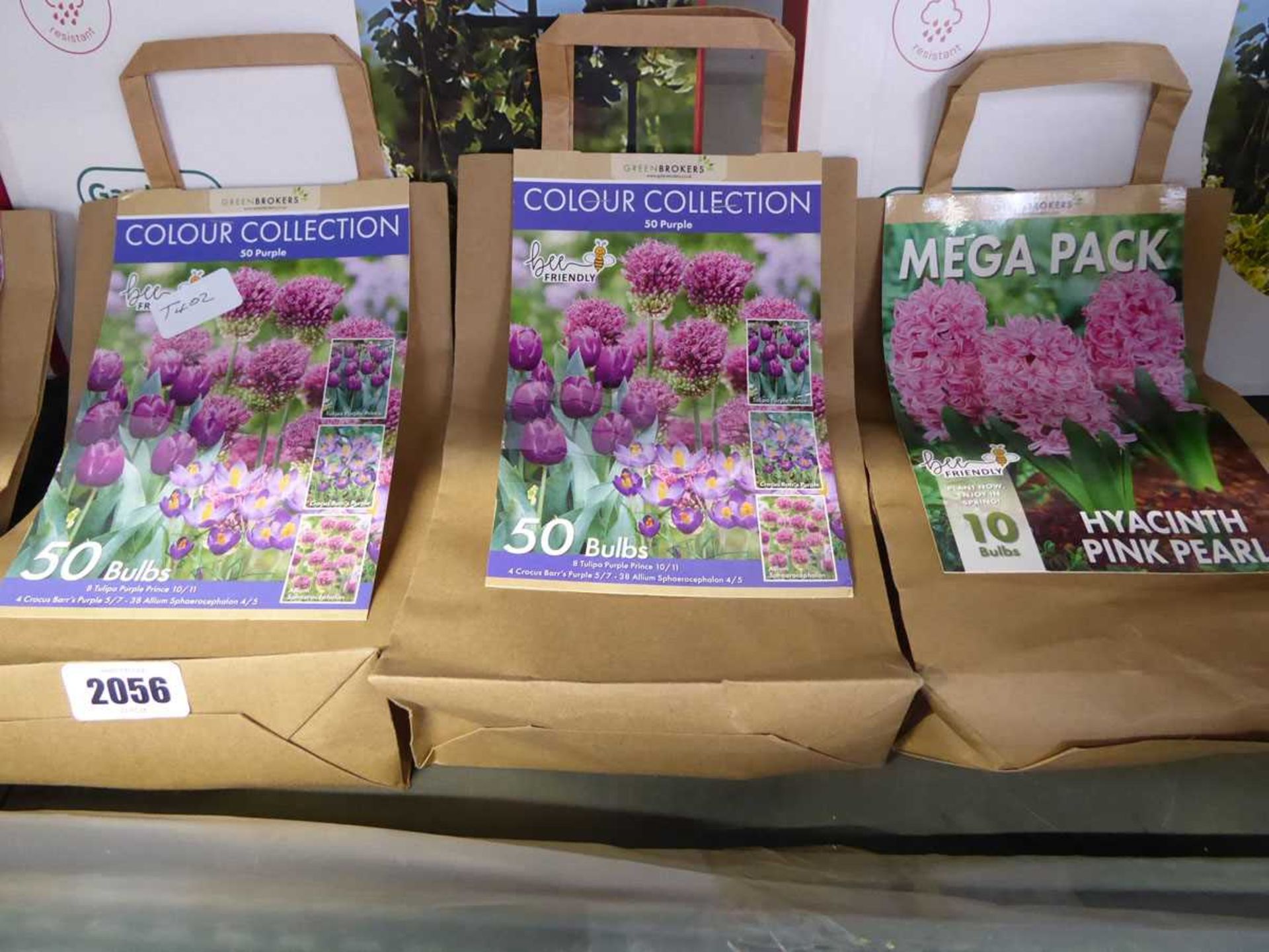 10 bags of green mixed plant bulbs to include purple tulips, allium, crocus barr purple, - Image 4 of 4