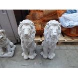 Pair of concrete laying lions