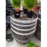 Metal banded oak barrel