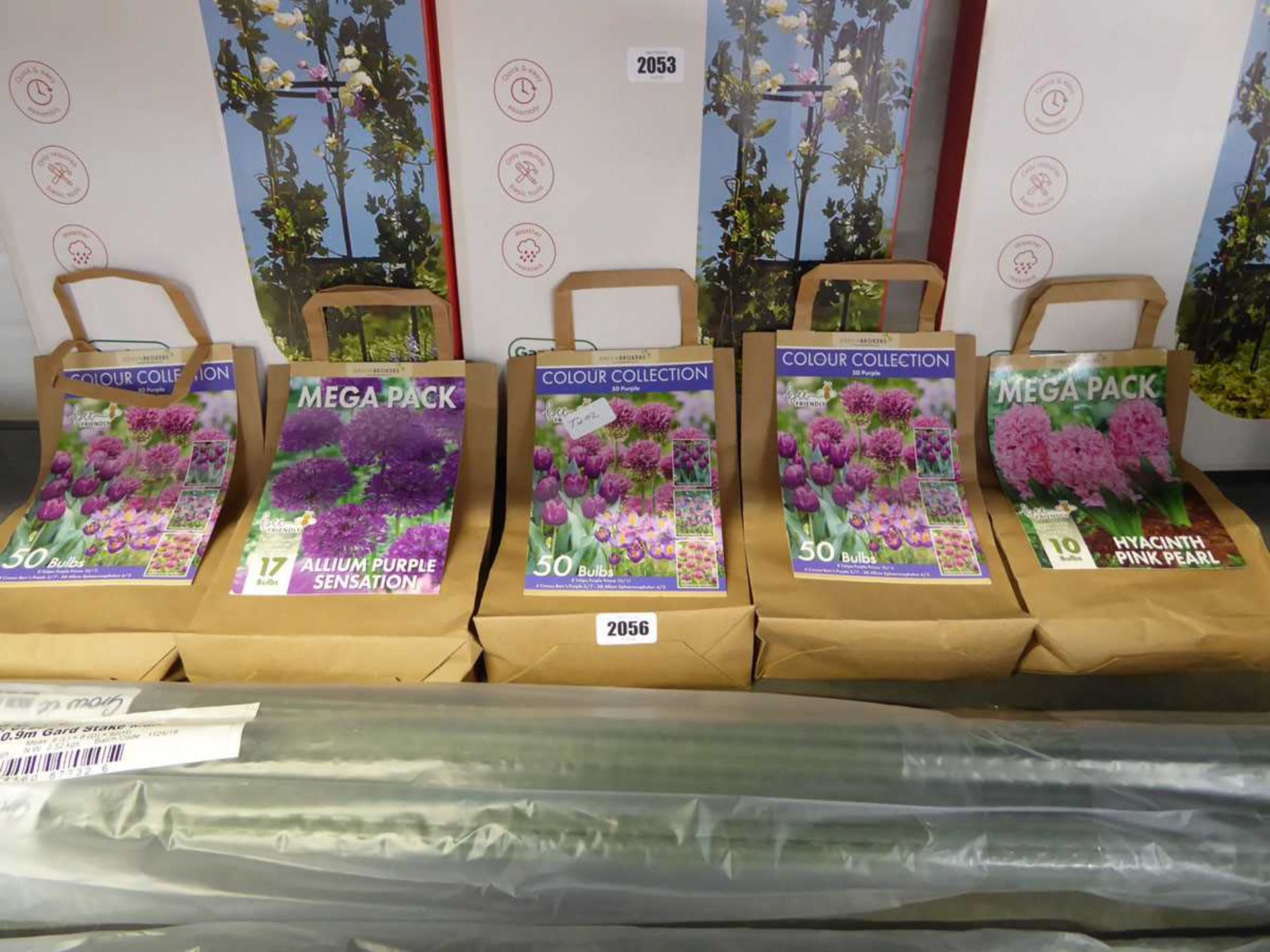 10 bags of green mixed plant bulbs to include purple tulips, allium, crocus barr purple,