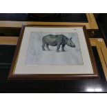 Framed and glazed print of 'The Rhino'