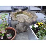 Weathered concrete shell shaped bird bath