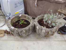 Pair of weathered concrete planters