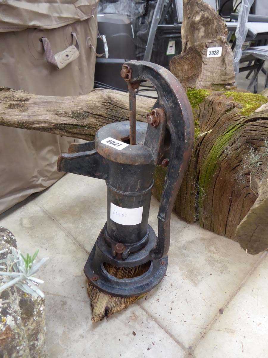 Small cast iron pump