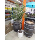 +VAT Artificial olive tree