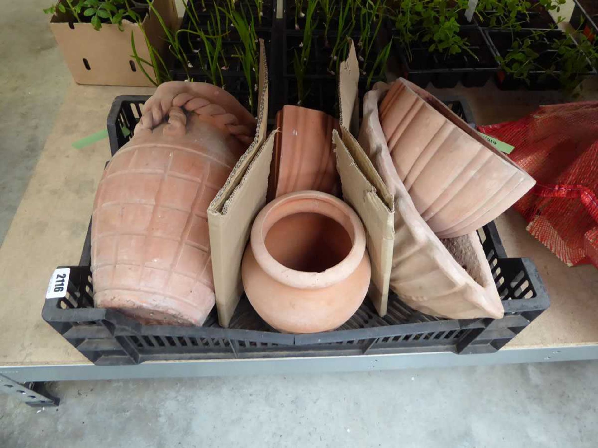 Tray of various style terracotta pots