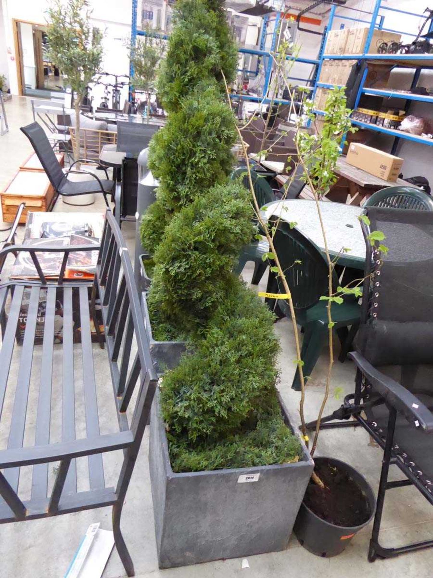 +VAT Twisted artificial conifer in grey slate effect planter