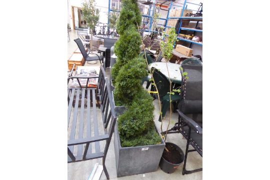 +VAT Twisted artificial conifer in grey slate effect planter