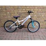 +VAT Girls Schwinn bike