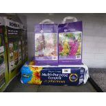 +VAT Bag of peat free multipurpose compost and 2 bags of alcea bulbs