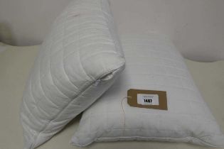 +VAT 2 hotel grand memory foam pillows