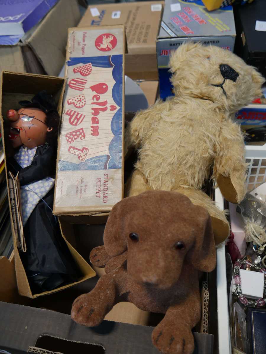 Crate containing stuffed teddy bear, costume jewellery, dog toy and Pelham puppet in box