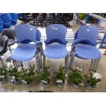 Large quantity of blue stackable chairs on metal supports