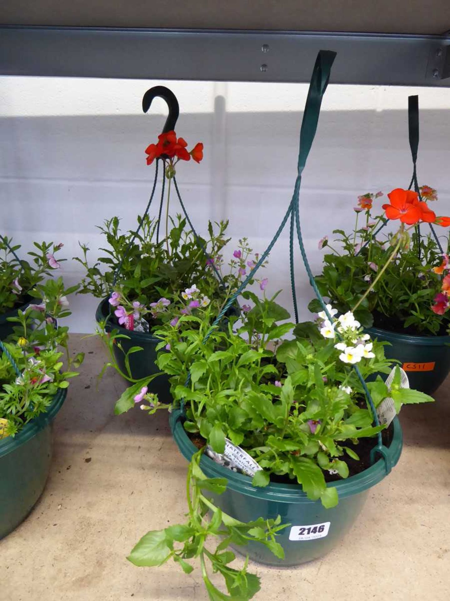 Pair of pre planted hanging baskets containing mixed plants