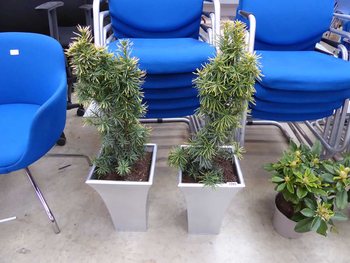 Pair of Accadda planters