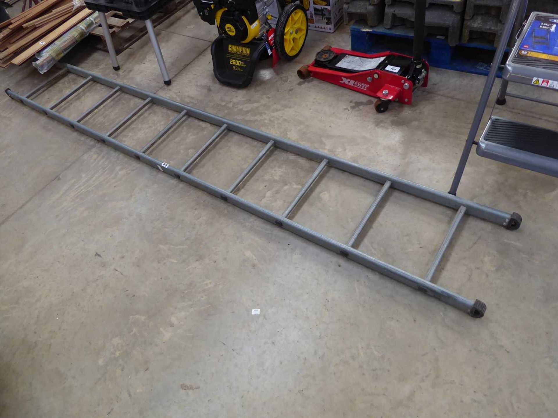 Metal 10 tread ladder