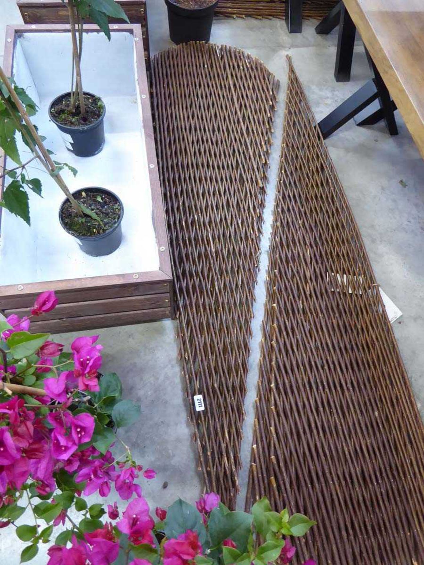 Pair of 180cm x 90cm expanding willow fan trellis panels
