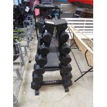 +VAT Centr dumbbell storage tree containing 6 pairs of rubberised dumbbells (mixed weights)