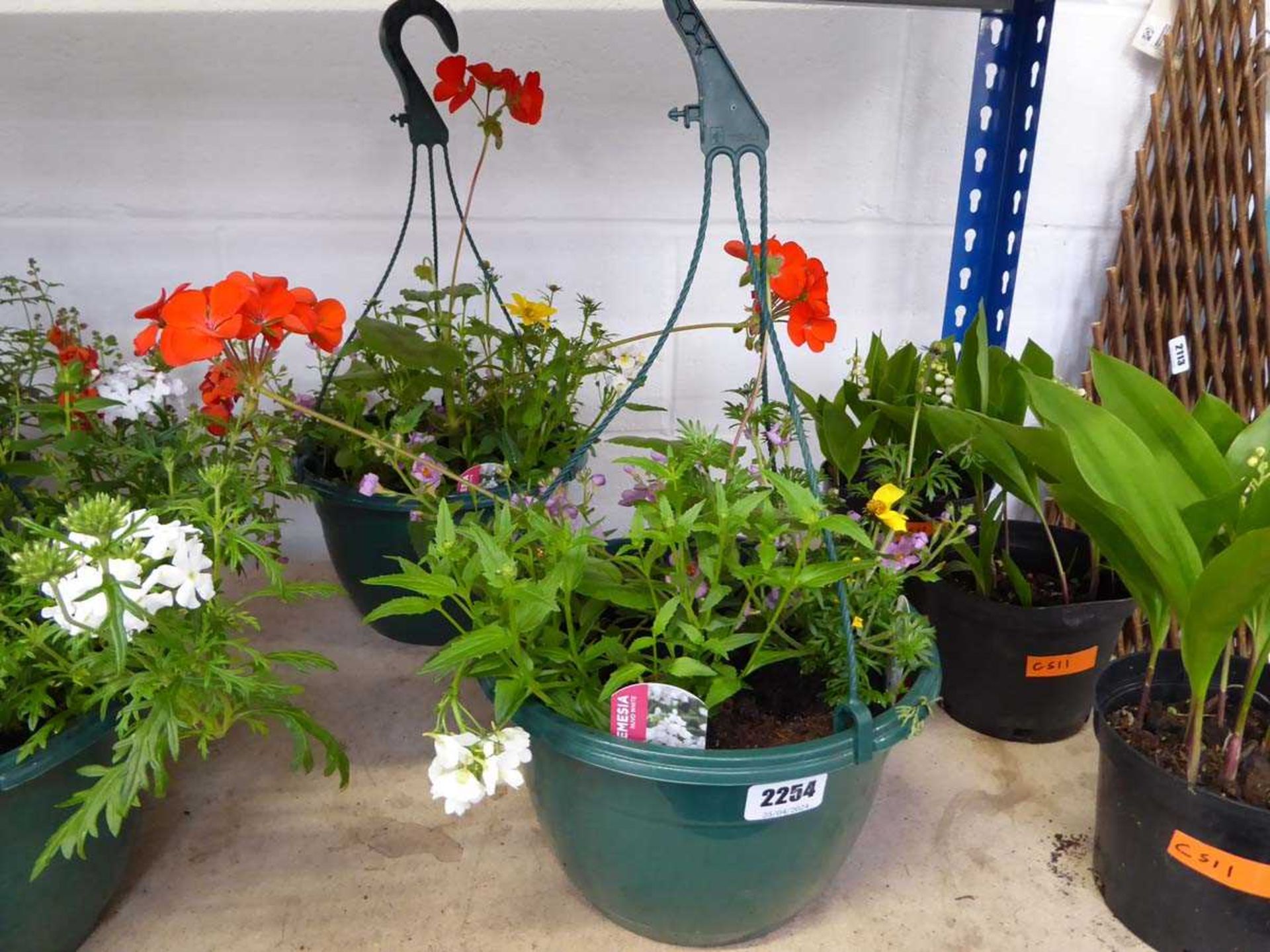 Pair of pre-planted hanging baskets containing mixed plants