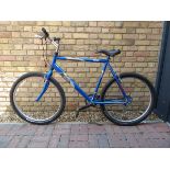 Raleigh Firefly mountain bike in blue