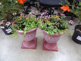 Pair of pre-planted plastic urn style planters containing mixed plants