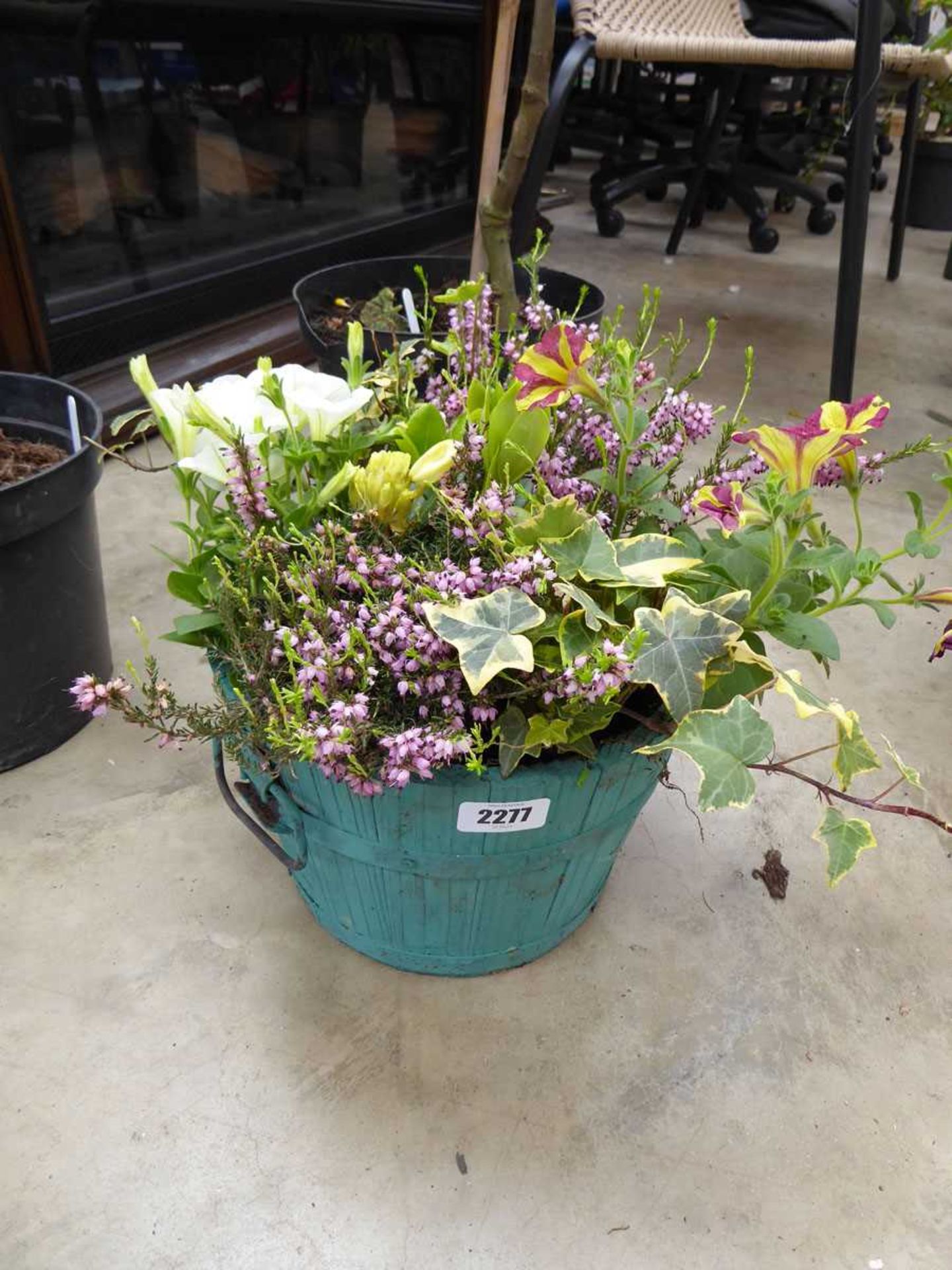 Green painted wooden barrel style planter containing mixed plants