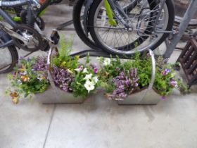 Pair of pre-planted metal trugs containing mixed plants