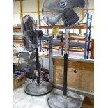 +VAT 4 Draper Expert pedestal fans