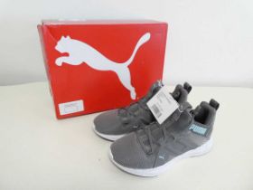 +VAT Boxed pair of Puma trainers in grey. Size 5.