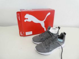 +VAT Boxed pair of Puma trainers in grey. Size 5.5