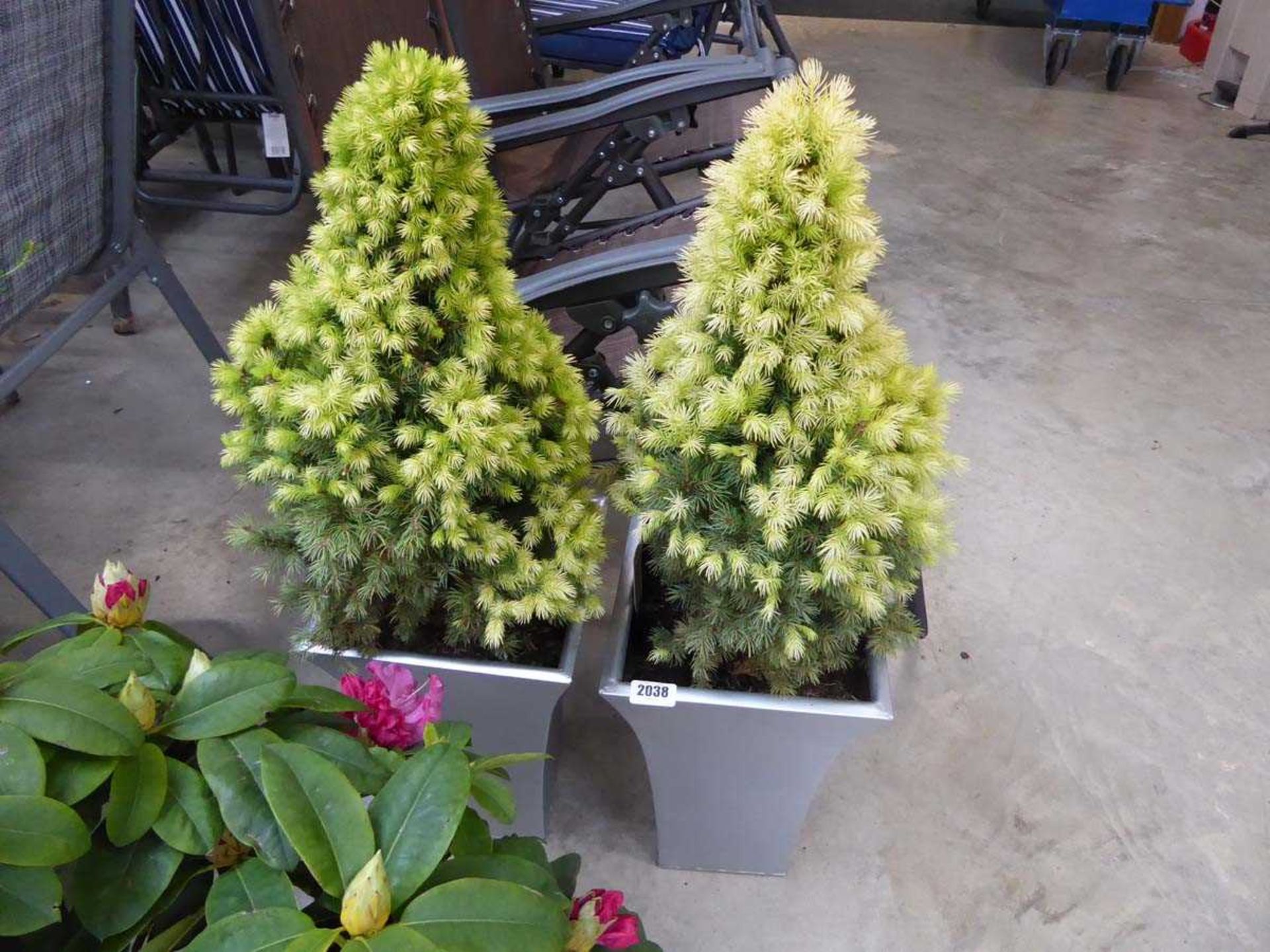 Pair of Ikea planters