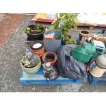 Pallet containing mixed garden related items incl. 2 concrete pig ornaments, various plants, pots,